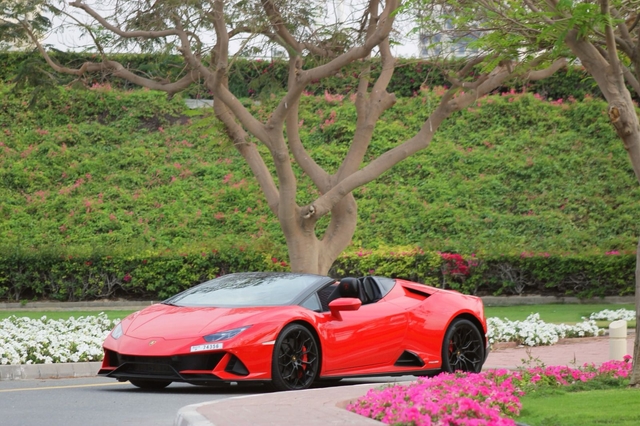 Lamborghini Evo spider 2025 image 1811