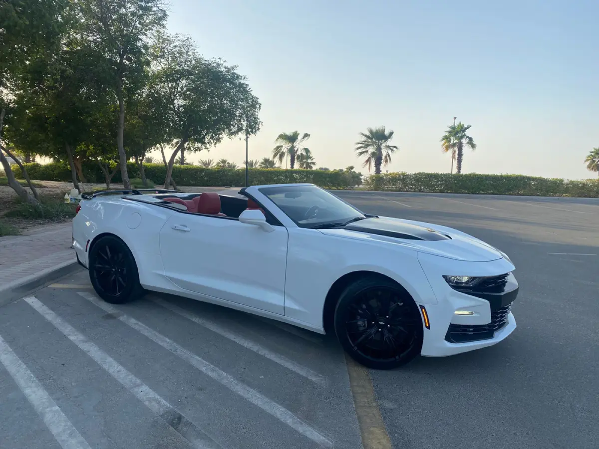 Chevrolet Camaro image 1022