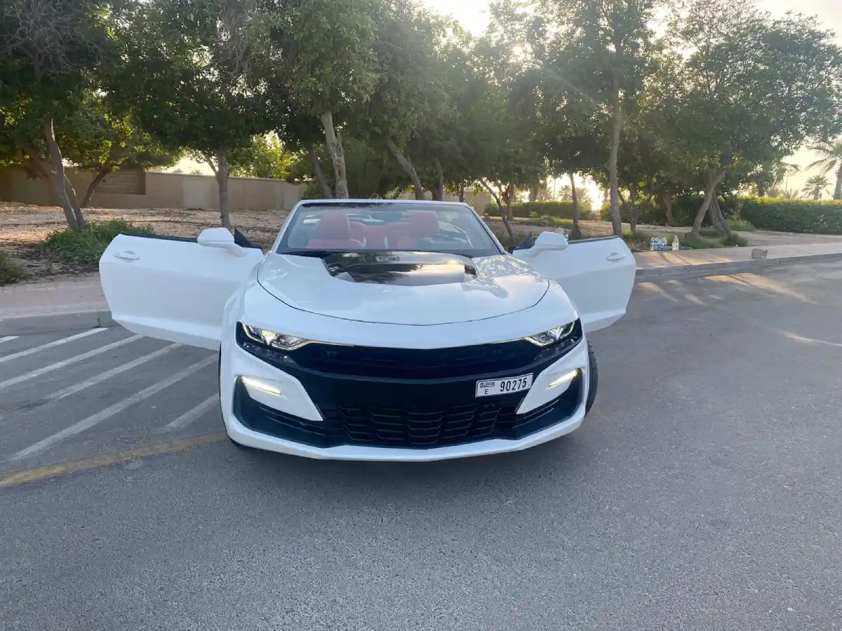 Chevrolet Camaro image 1019