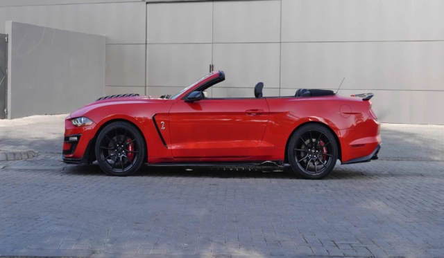 Ford Shelby Cabrio image 260