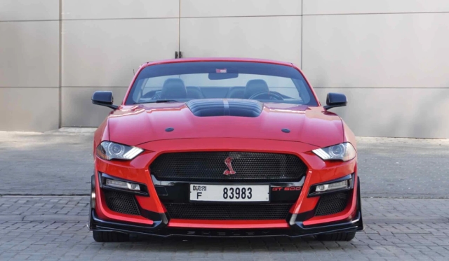 Ford Shelby Cabrio image 262