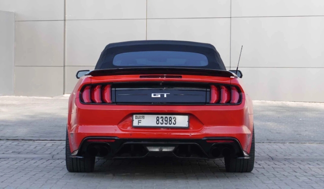 Ford Shelby Cabrio image 256