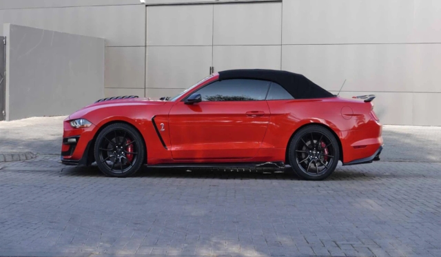 Ford Shelby Cabrio image 258