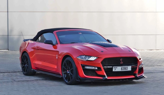 Ford Shelby Cabrio image 263