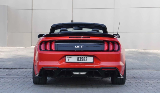 Ford Shelby Cabrio image 257