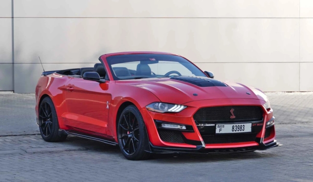Ford Shelby Cabrio image 259