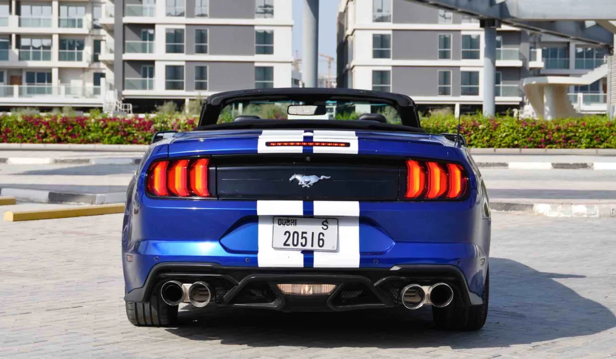 Shelby Mustang Cabrio Rental Dubai  image 688