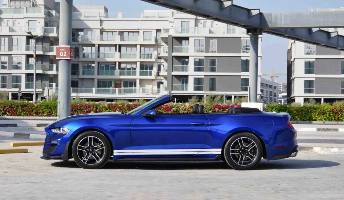 Shelby Mustang Cabrio Rental Dubai  image 687