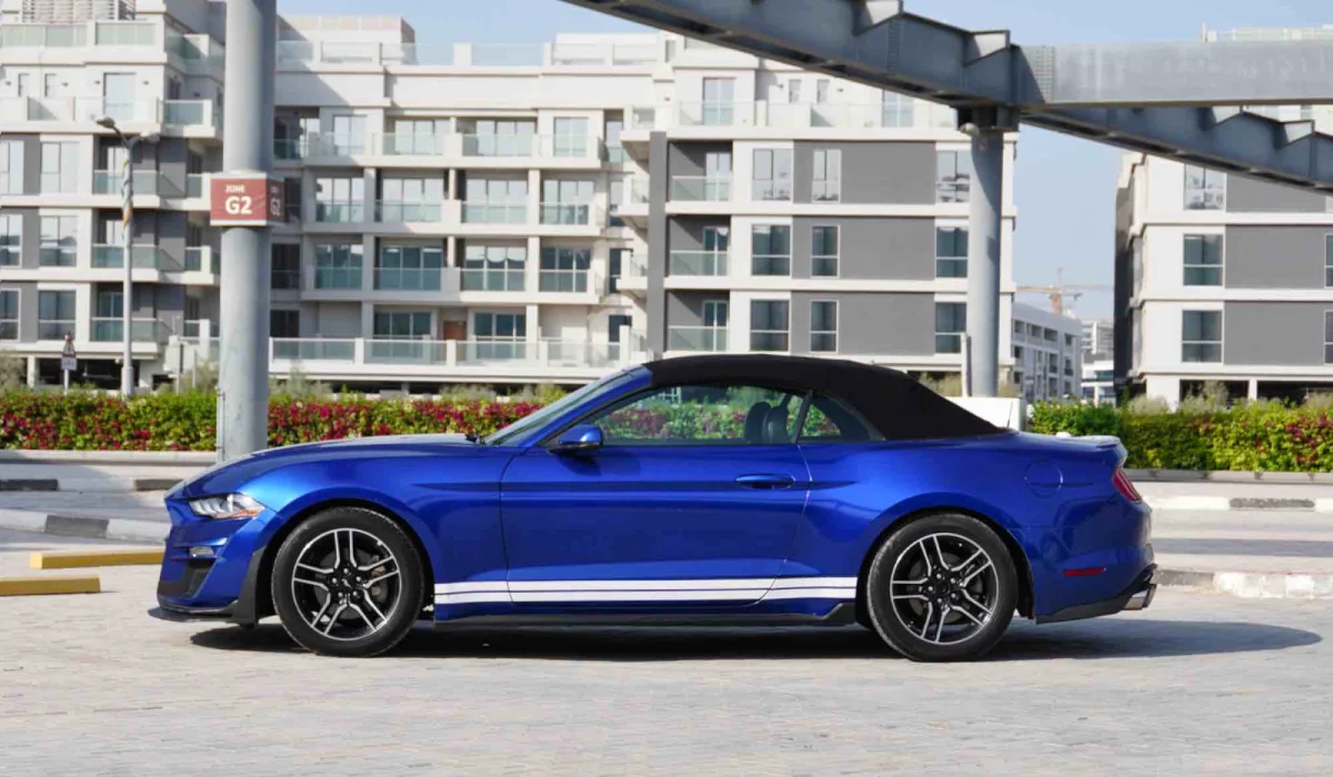 Shelby Mustang Cabrio Rental Dubai  image 689