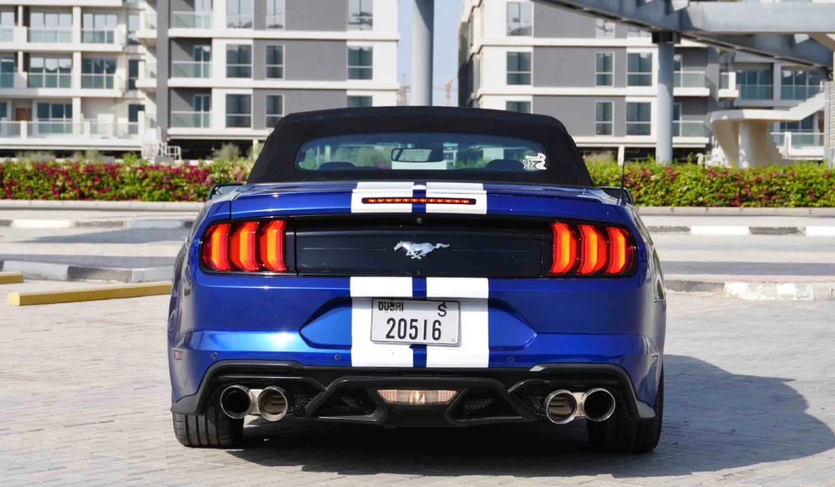 Shelby Mustang Cabrio Rental Dubai  image 684