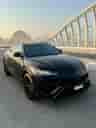 Rental Lamborghini Urus in Dubai thumbnail image 894